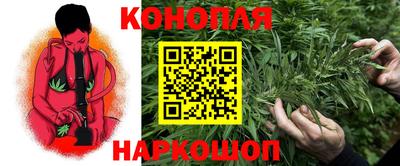 прущие грибы Азнакаево